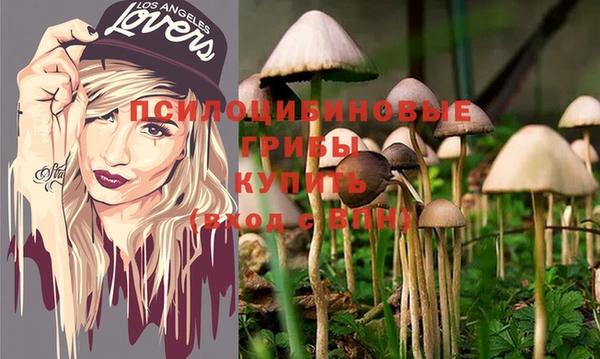 хмурый Горно-Алтайск