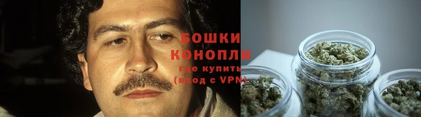 бошки Горнозаводск