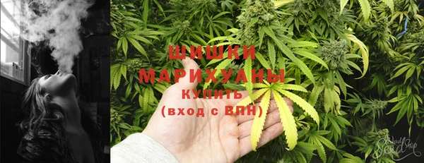 хмурый Горно-Алтайск