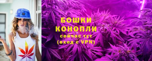 хмурый Горно-Алтайск