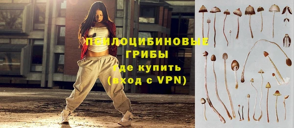 бошки Горнозаводск