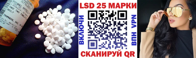 LSD-25 экстази ecstasy  Купить где  Новороссийск 