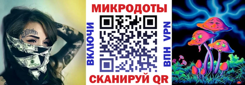 Купить  Новороссийск  Галлюциногенные грибы Psilocybe 