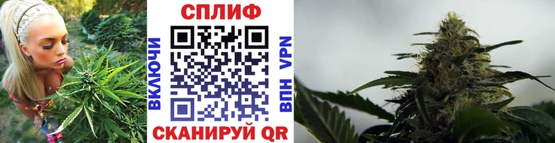 Купить закладки  Новороссийск  Каннабис конопля 